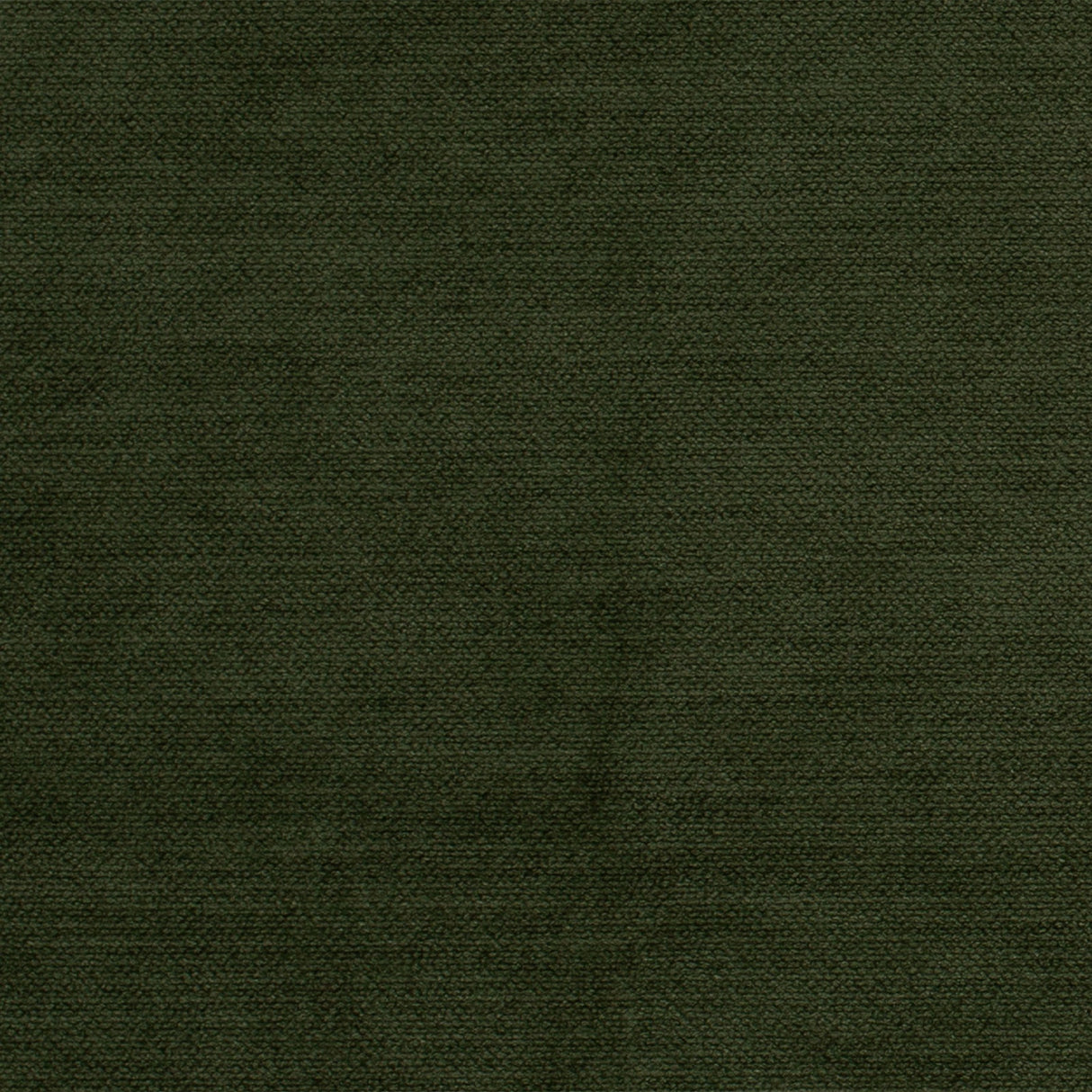 Mitchell MP FF-2403-14 Solid Comfy-Turtle - Eade's Wallpaper