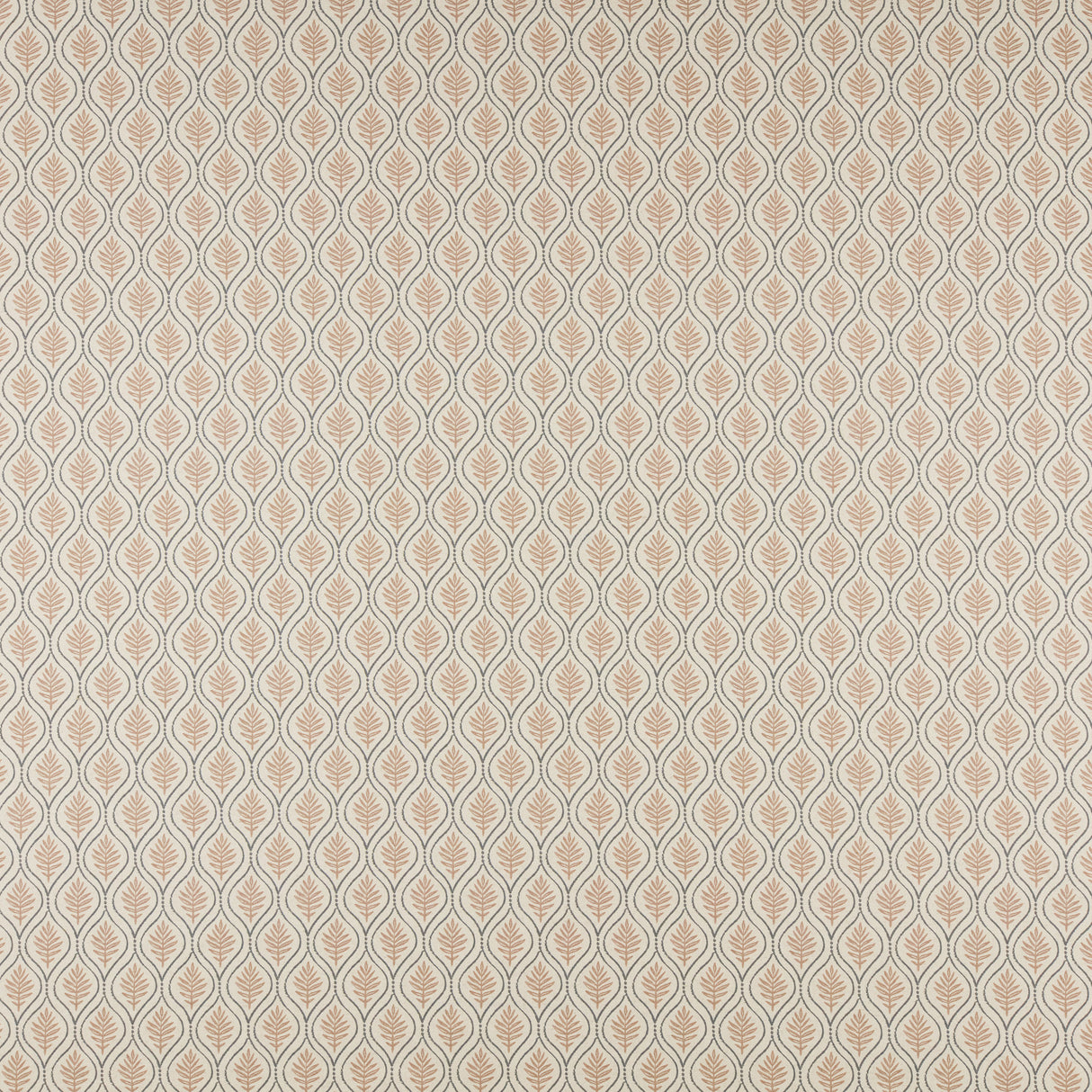 Maxwell BFF529 BIRCH # 529 PETAL