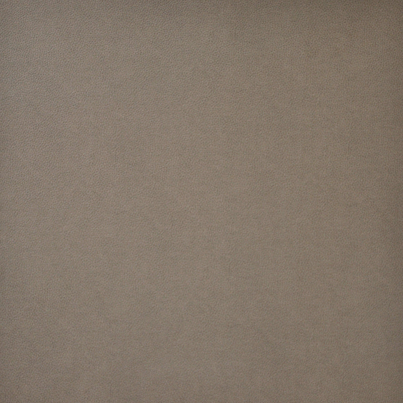 Maxwell PQ54016 PONY EXPRESS # 4016 TIMBER Fabric