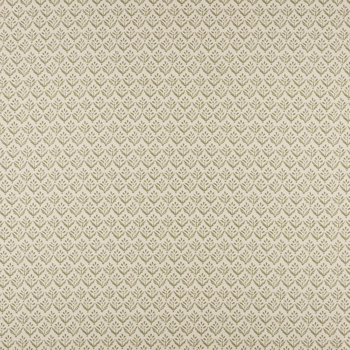 Maxwell AV4503 ASTER # 503 SAGE