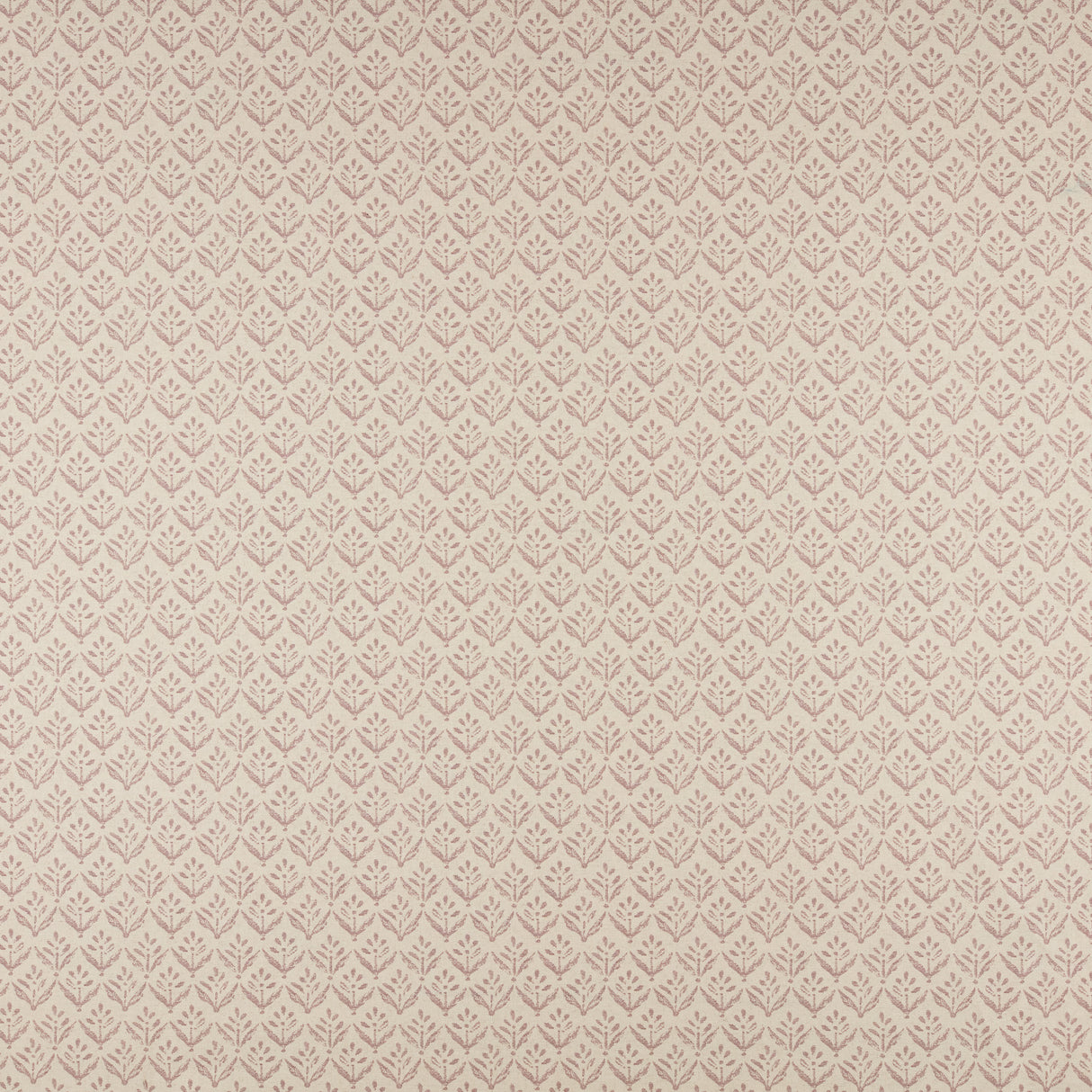 Maxwell AV4526 ASTER # 526 LILAC