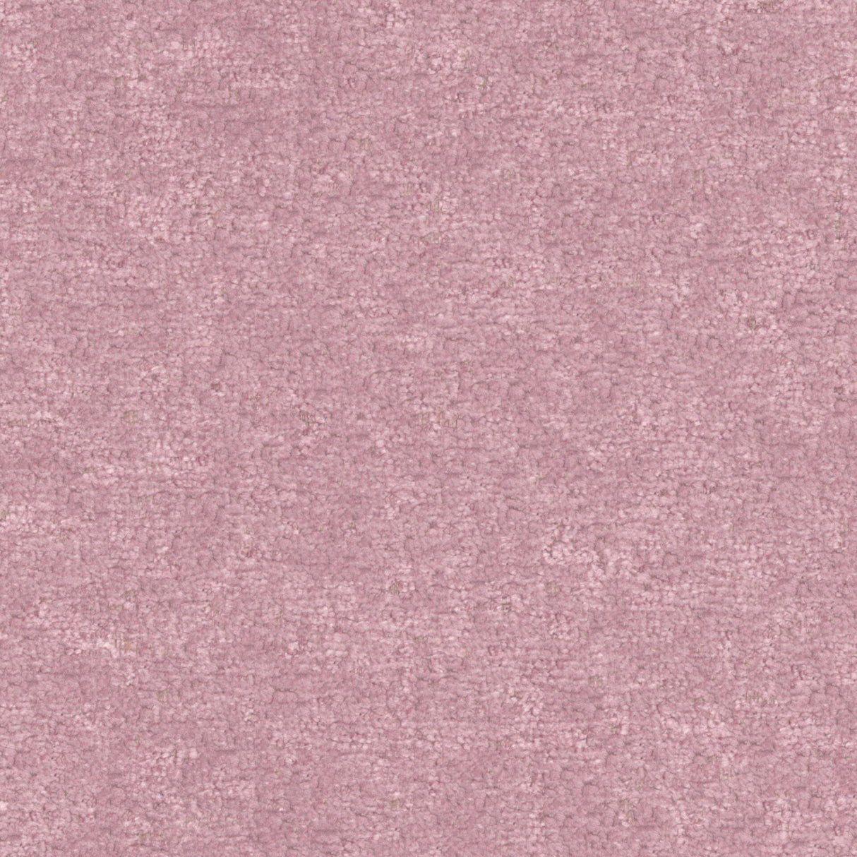 Maxwell BFA828 BRAVA # 828 BOUDOIR