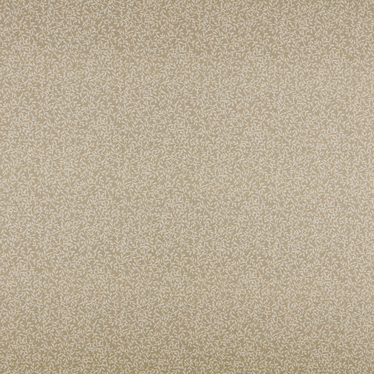 Maxwell JA8543 JASMINE # 543 JUTE