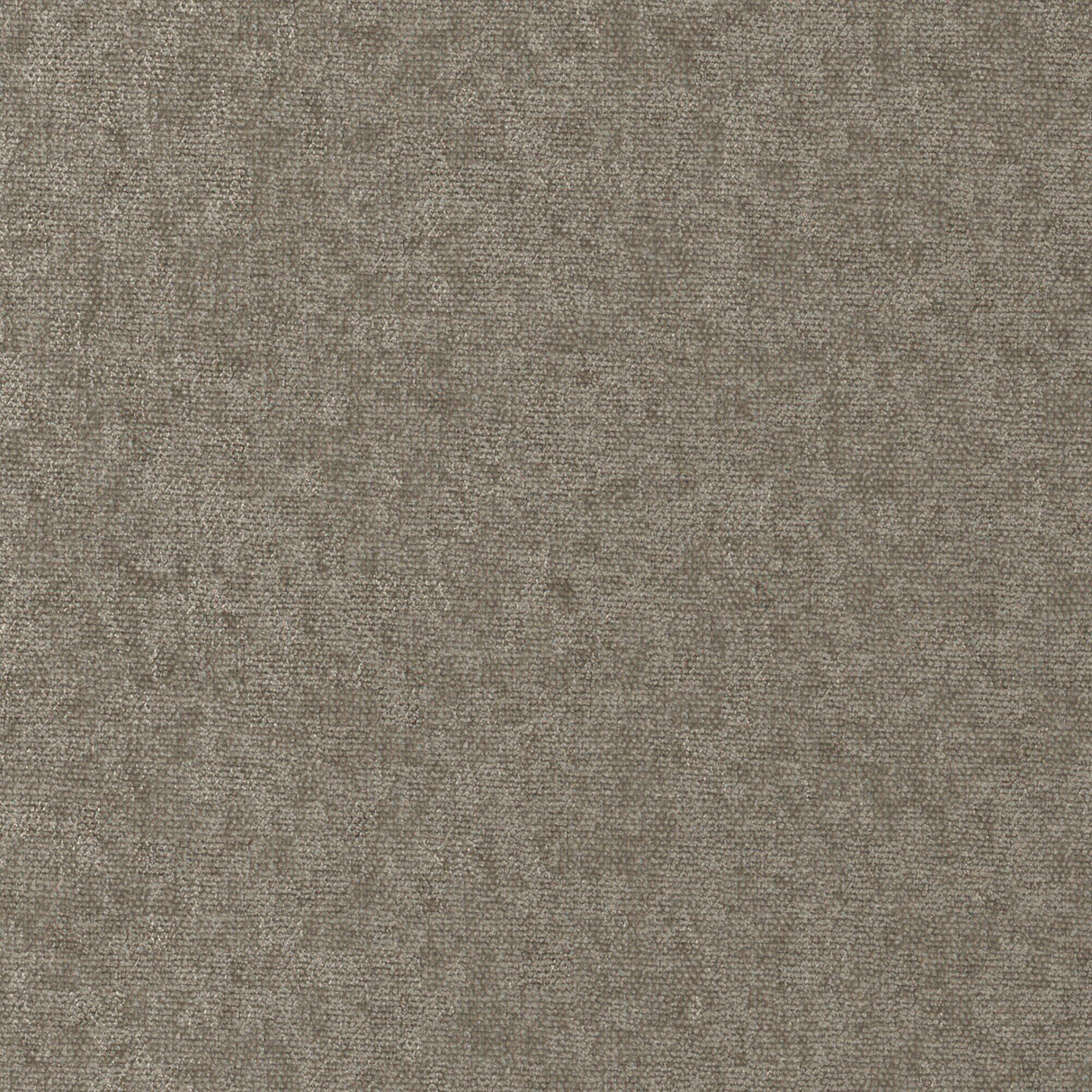 Maxwell CHE907 CONTE # 907 PLAZA Fabric