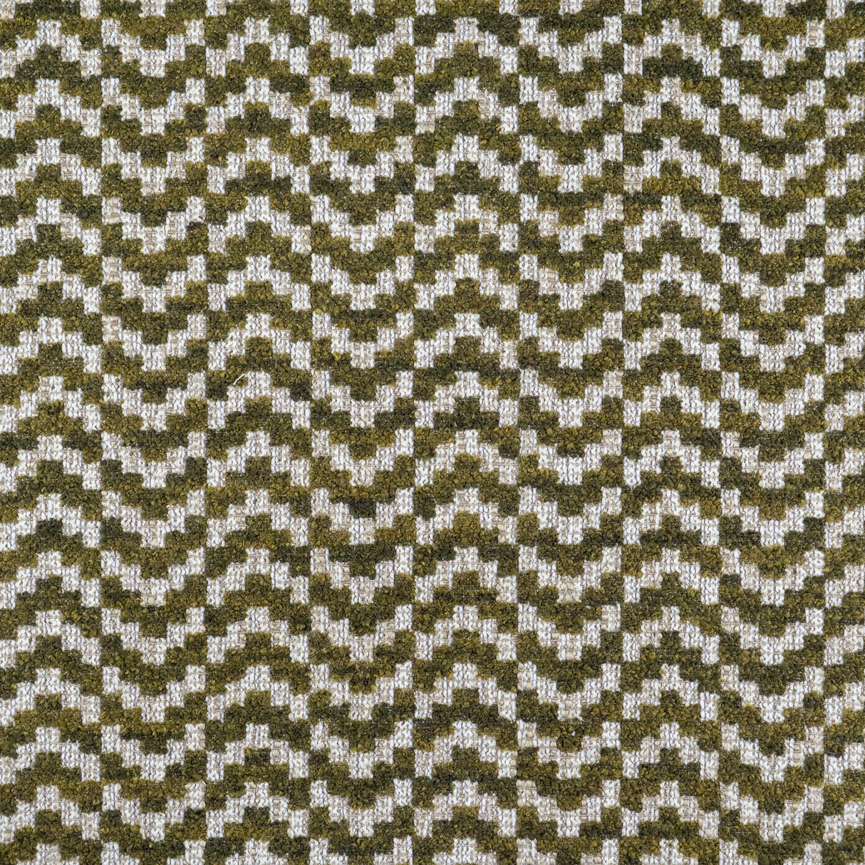 Telafina PAZ502 PRESLEY # 502 OLIVE