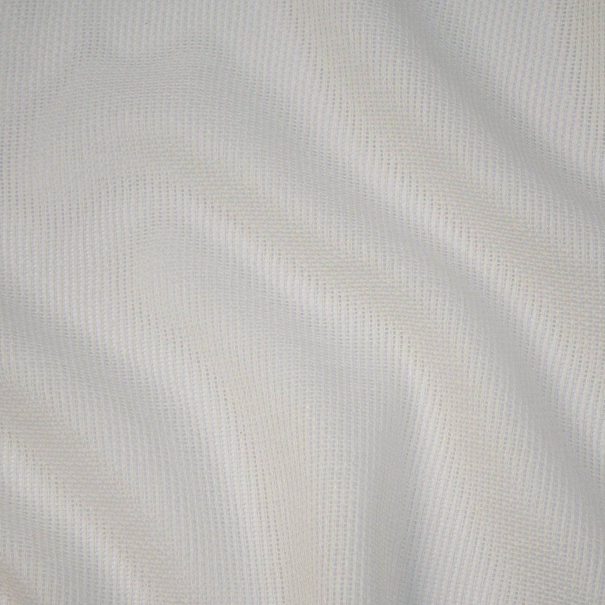Maxwell CIZ322 CAMPANIA # 322 BUFF