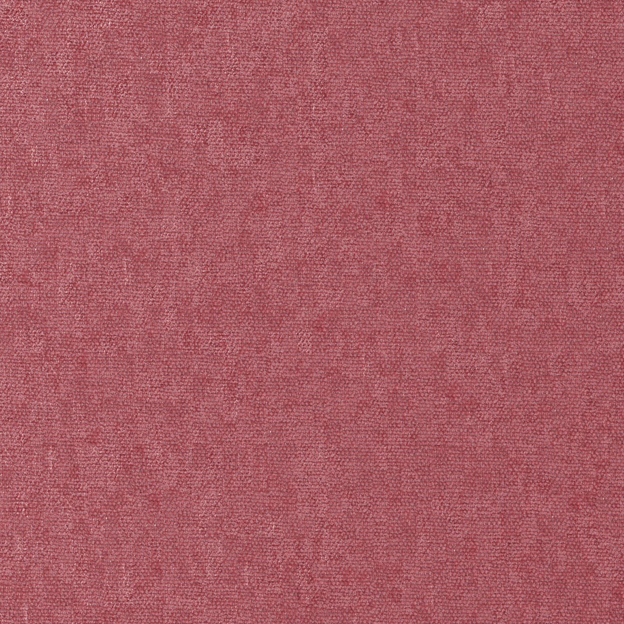 Maxwell CHE881 CONTE # 881 PEONY Fabric
