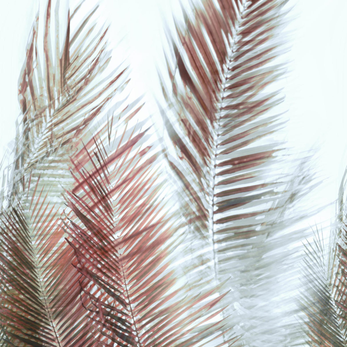 44-W8771 10010 Wallcovering - Eade's Wallpaper & Fabric