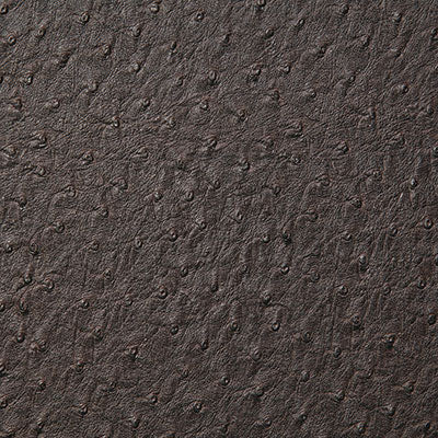 Pindler MICAH COCOA 1008 Fabric - Fabric Collection