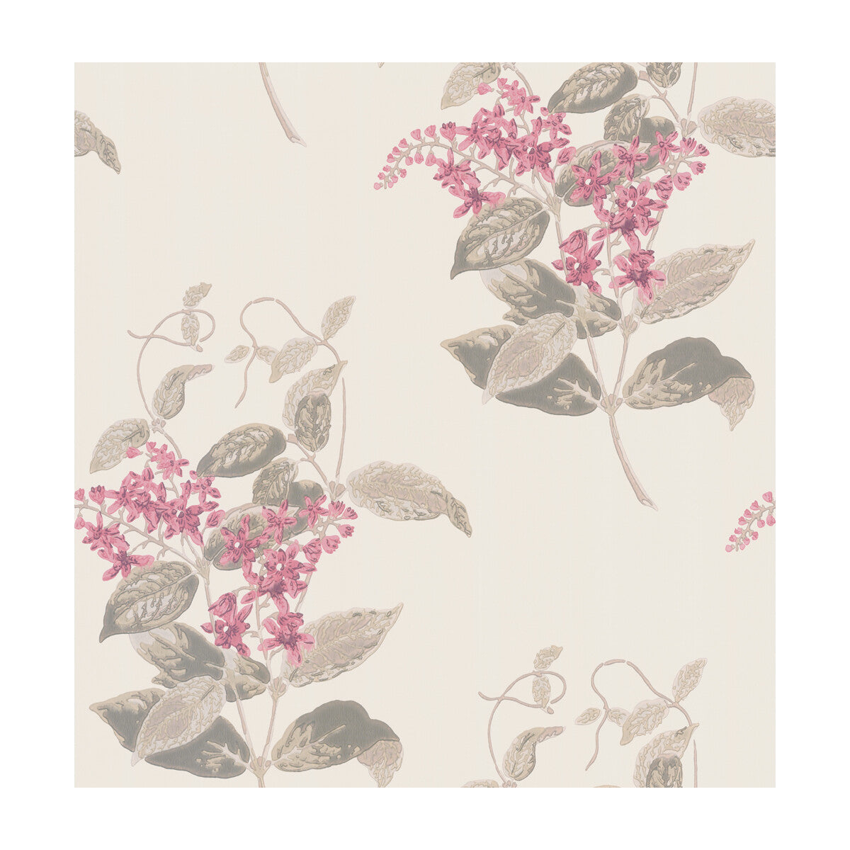 COLE & SON 100/12058.CS.0 MADRAS VIOLET PINK Wallpaper - Eade's Wallpaper