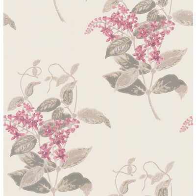 COLE & SON 100/12058.CS.0 MADRAS VIOLET PINK Wallpaper - Eade's Wallpaper