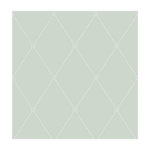 COLE & SON 100/13066.CS.0 LARGE GEORGIAN ROPE TRELLIS DUCK EGG Wallpaper - Eade's Wallpaper