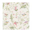 COLE & SON 100/14067.CS.0 HUMMINGBIRDS SOFT MULTI-COLOUR Wallpaper - Eade's Wallpaper