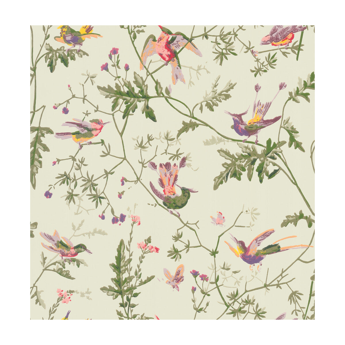 COLE & SON 100/14070.CS.0 HUMMINGBIRDS GREEN MULTI-COLOUR Wallpaper - Eade's Wallpaper