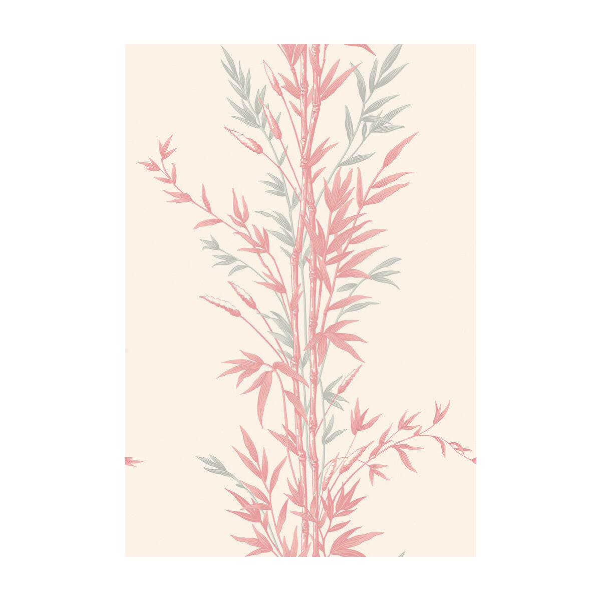 COLE & SON 100/5024.CS.0 BAMBOO PINK Wallpaper - Eade's Wallpaper