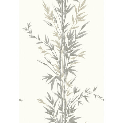 COLE & SON 100/5025.CS.0 BAMBOO CHARCOAL Wallpaper - Eade's Wallpaper