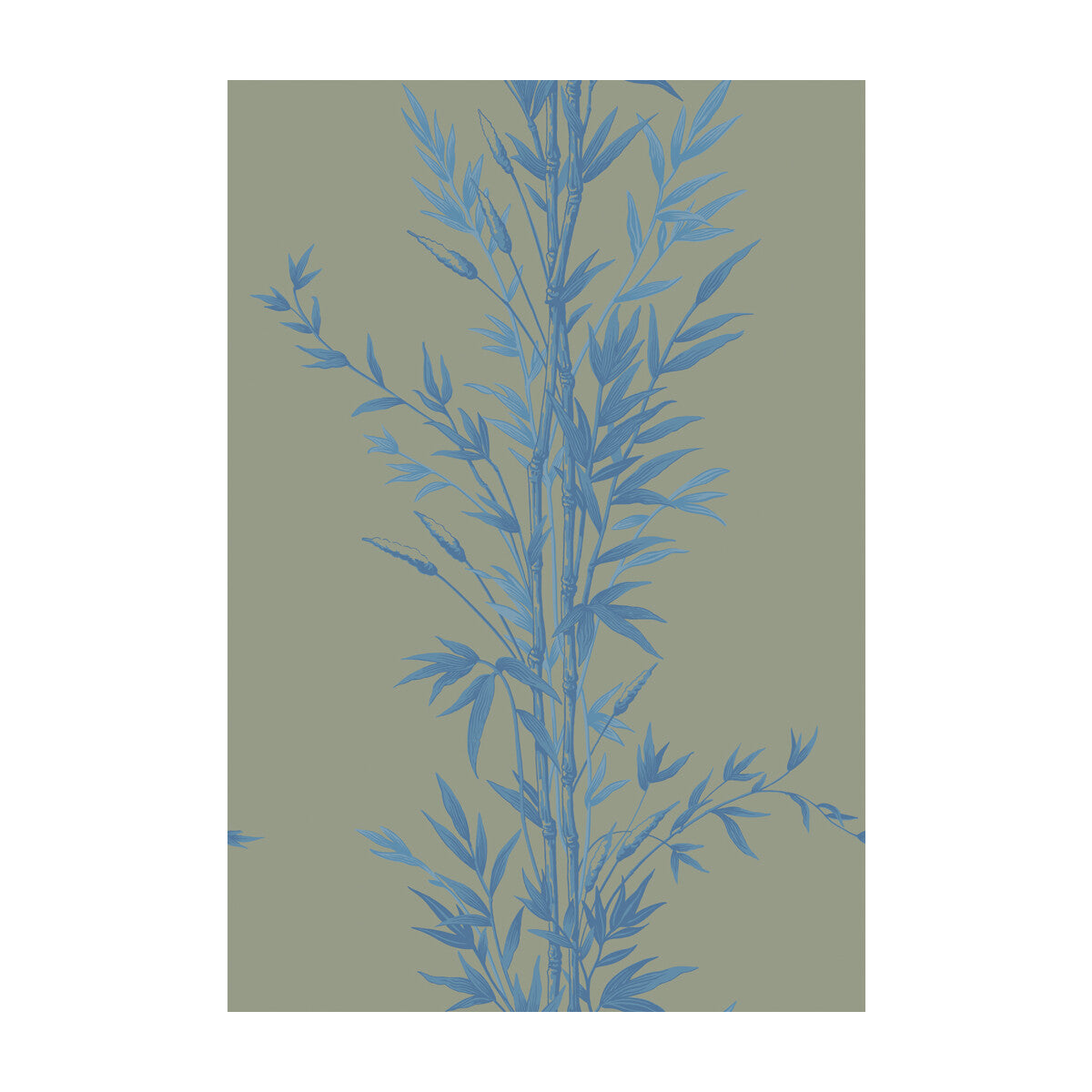 COLE & SON 100/5026.CS.0 BAMBOO BLUE ON KHAKI Wallpaper - Eade's Wallpaper