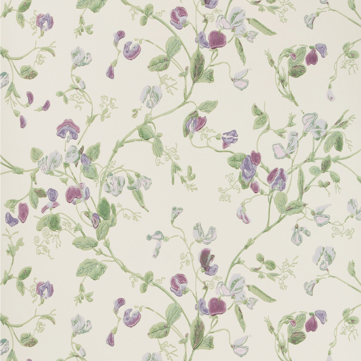 COLE & SON 100/6030.CS.0 SWEET PEA VIOLET Wallpaper - Eade's Wallpaper