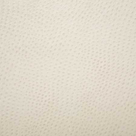 Pindler OUTBACK BISQUE 1014 Fabric - Fabric Collection