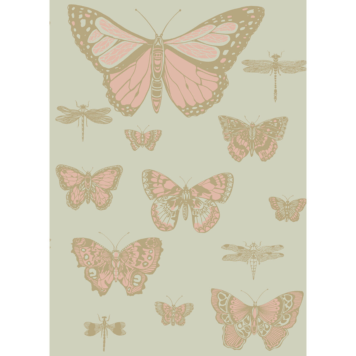 COLE & SON 103/15063.CS.0 BUTTERFLIES & DRAGONFLIES PINK ON OLIV Wallpaper - Eade's Wallpaper