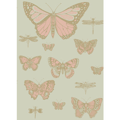 COLE & SON 103/15063.CS.0 BUTTERFLIES & DRAGONFLIES PINK ON OLIV Wallpaper - Eade's Wallpaper