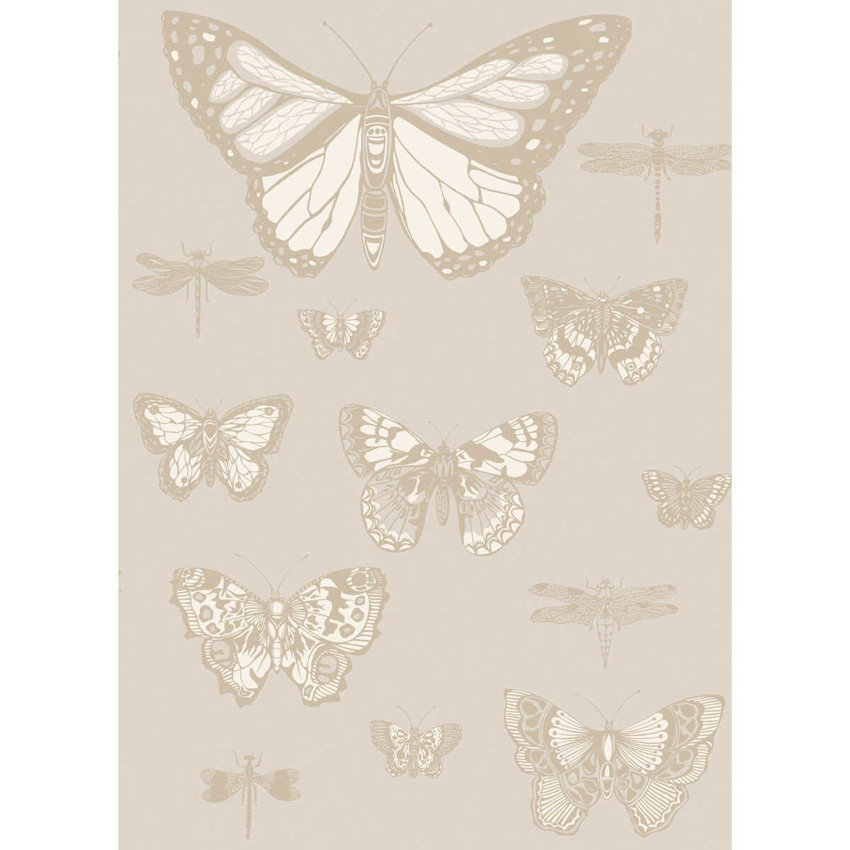 COLE & SON 103/15064.CS.0 BUTTERFLIES & DRAGONFLIES GREY Wallpaper - Eade's Wallpaper