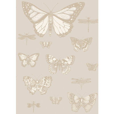 COLE & SON 103/15064.CS.0 BUTTERFLIES & DRAGONFLIES GREY Wallpaper - Eade's Wallpaper