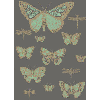 COLE & SON 103/15067.CS.0 BUTTERFLIES & DRAGONFLIES GREEN ON CHAR Wallpaper - Eade's Wallpaper