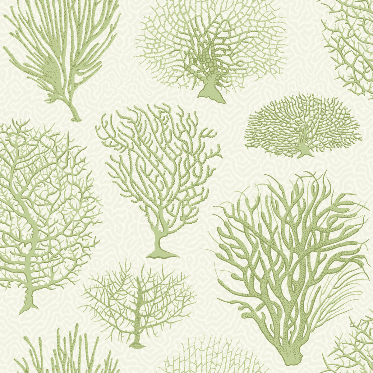 COLE & SON 107/2008.CS.0 SEAFERN SOFT GREEN Wallpaper - Eade's Wallpaper