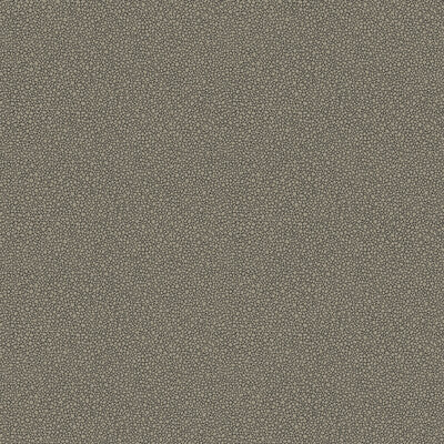 COLE & SON 107/9043.CS.0 GOLDSTONE BLACK & SILVER Wallpaper - Eade's Wallpaper