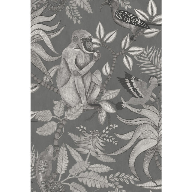 COLE & SON 109/1002.CS.0 SAVUTI CHARCOAL Wallpaper - Eade's Wallpaper