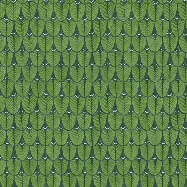 COLE & SON 109/10045.CS.0 NARINA LEAF GREEN Wallpaper - Eade's Wallpaper