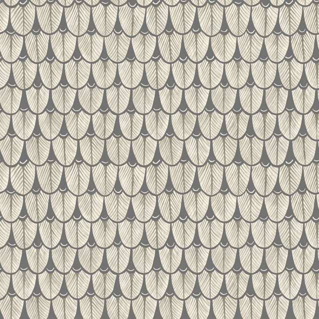 COLE & SON 109/10048.CS.0 NARINA BLACK & WHITE Wallpaper - Eade's Wallpaper