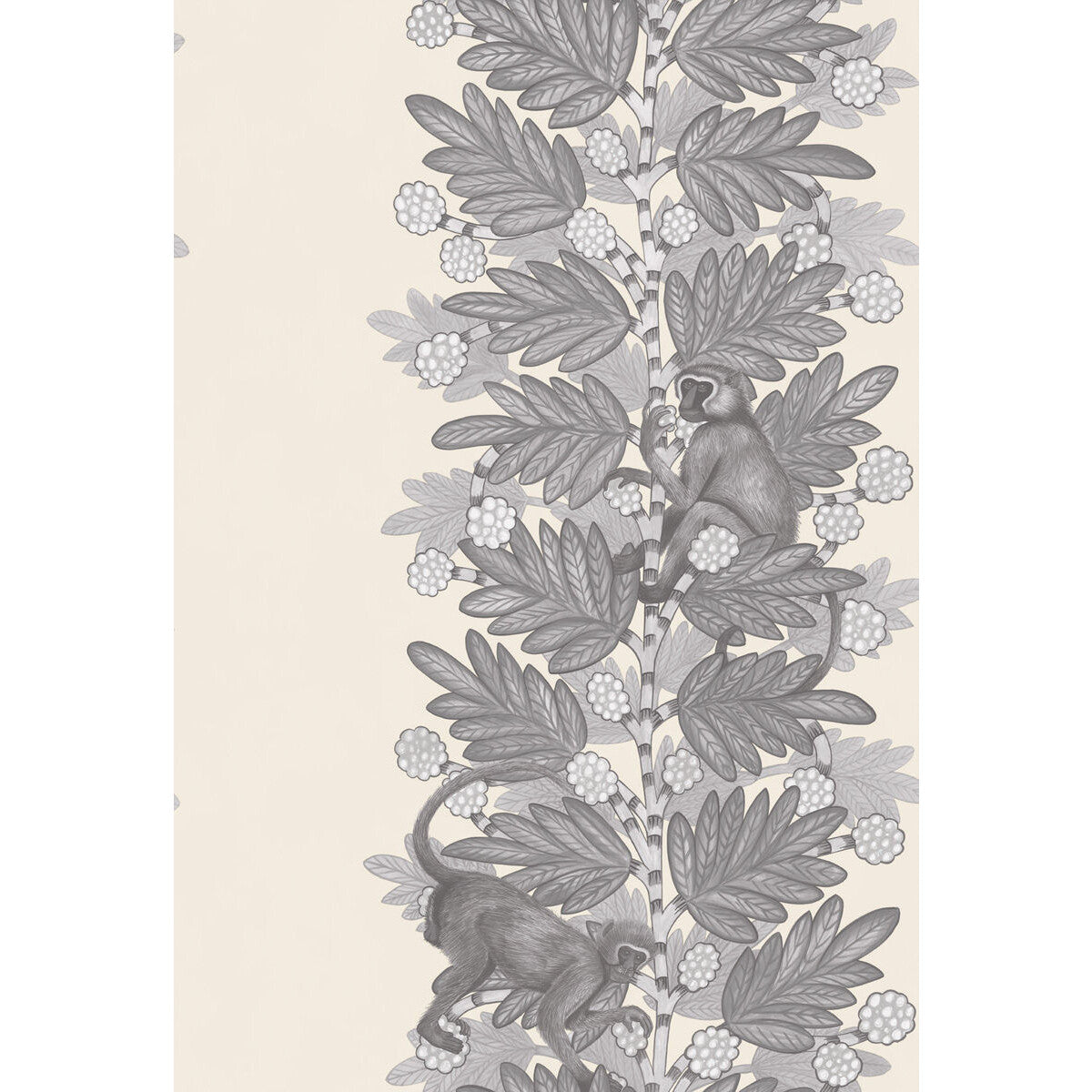 COLE & SON 109/11053.CS.0 ACACIA GREY & WHITE Wallpaper - Eade's Wallpaper