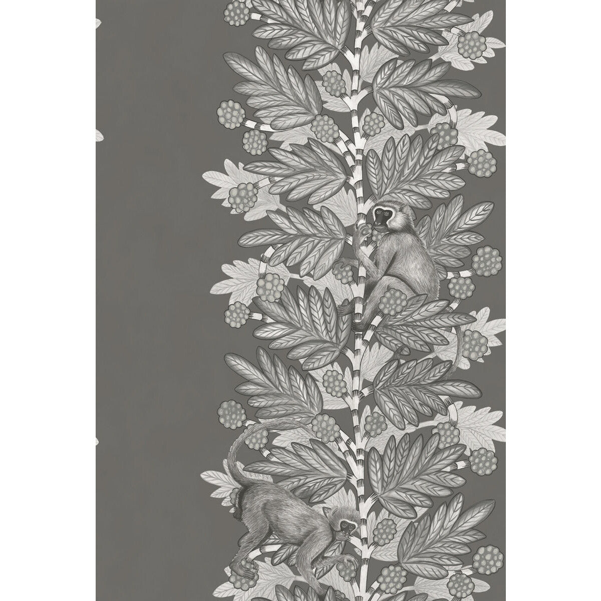 COLE & SON 109/11055.CS.0 ACACIA CHARCOAL & SILVER Wallpaper - Eade's Wallpaper