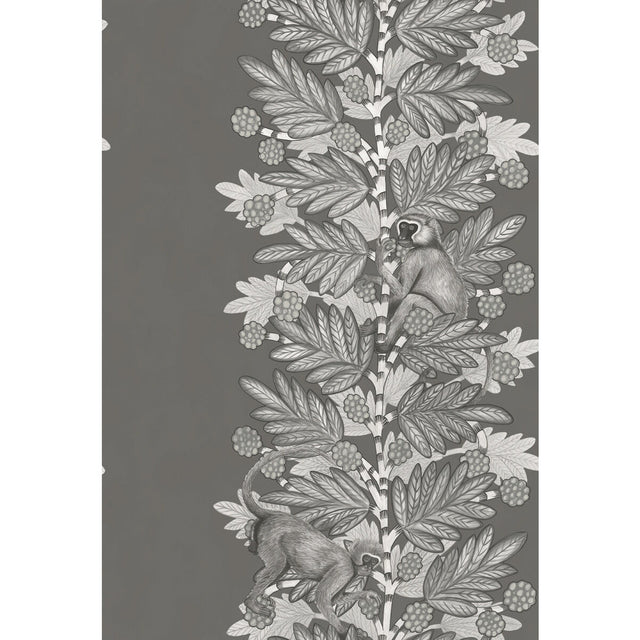 COLE & SON 109/11055.CS.0 ACACIA CHARCOAL & SILVER Wallpaper - Eade's Wallpaper