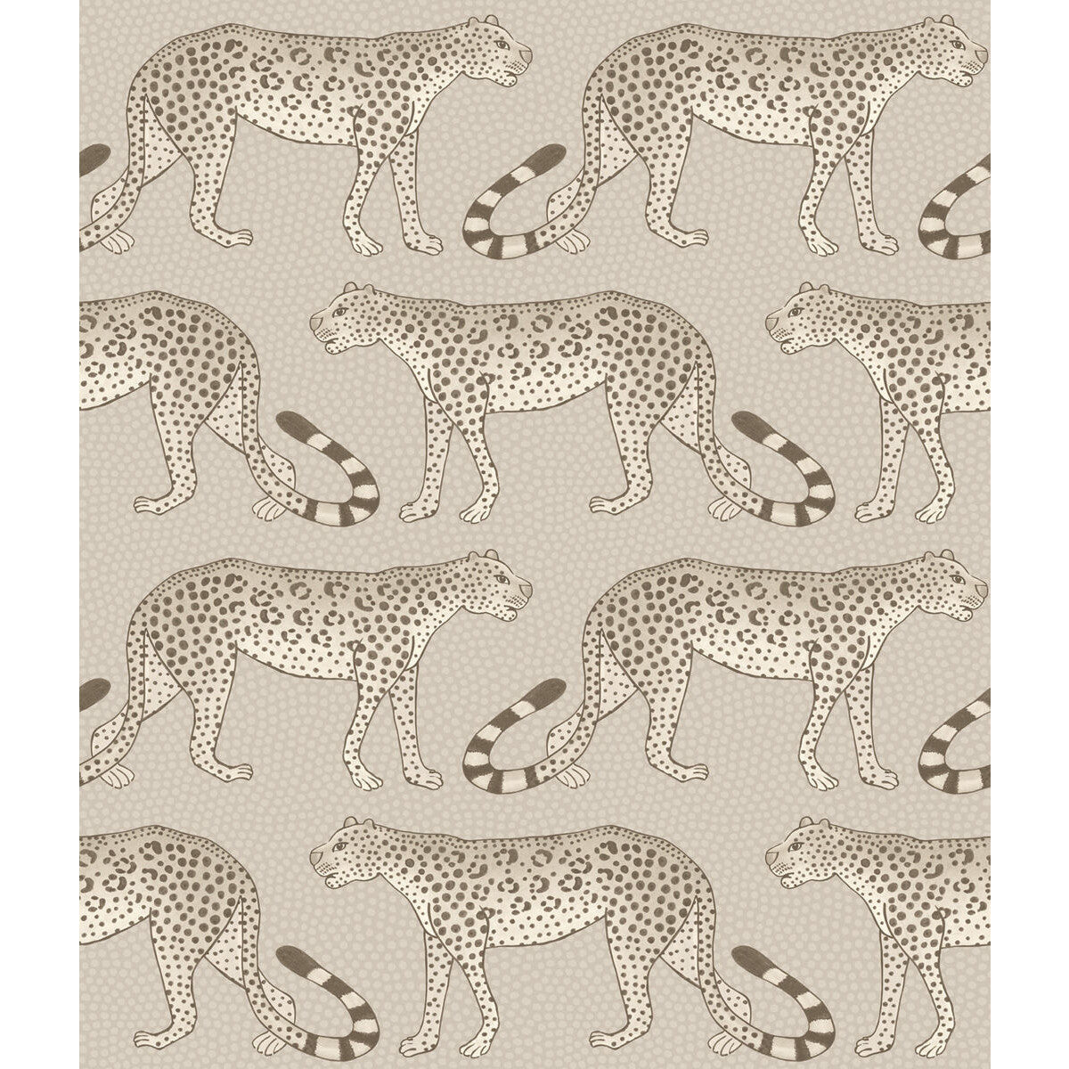 COLE & SON 109/2012.CS.0 LEOPARD WALK STONE  Wallpaper - Eade's Wallpaper