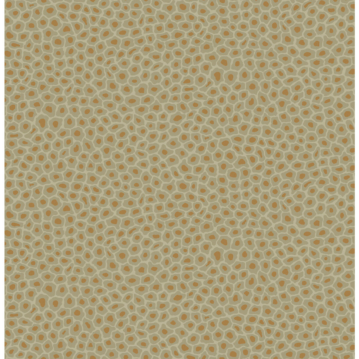COLE & SON 109/6029.CS.0 SENZO SPOT OLIVE Wallpaper - Eade's Wallpaper