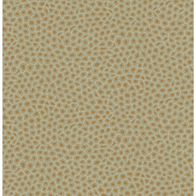 COLE & SON 109/6029.CS.0 SENZO SPOT OLIVE Wallpaper - Eade's Wallpaper