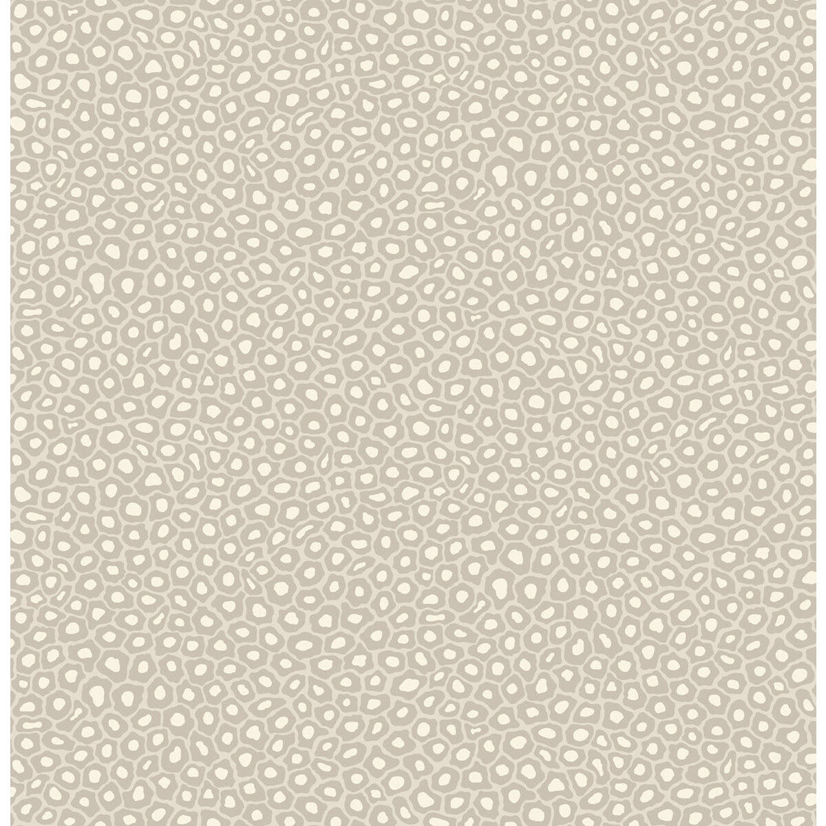 COLE & SON 109/6030.CS.0 SENZO SPOT STONE & WHITE Wallpaper - Eade's Wallpaper