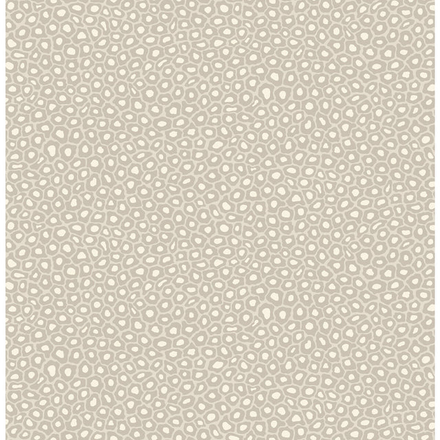 COLE & SON 109/6030.CS.0 SENZO SPOT STONE & WHITE Wallpaper - Eade's Wallpaper