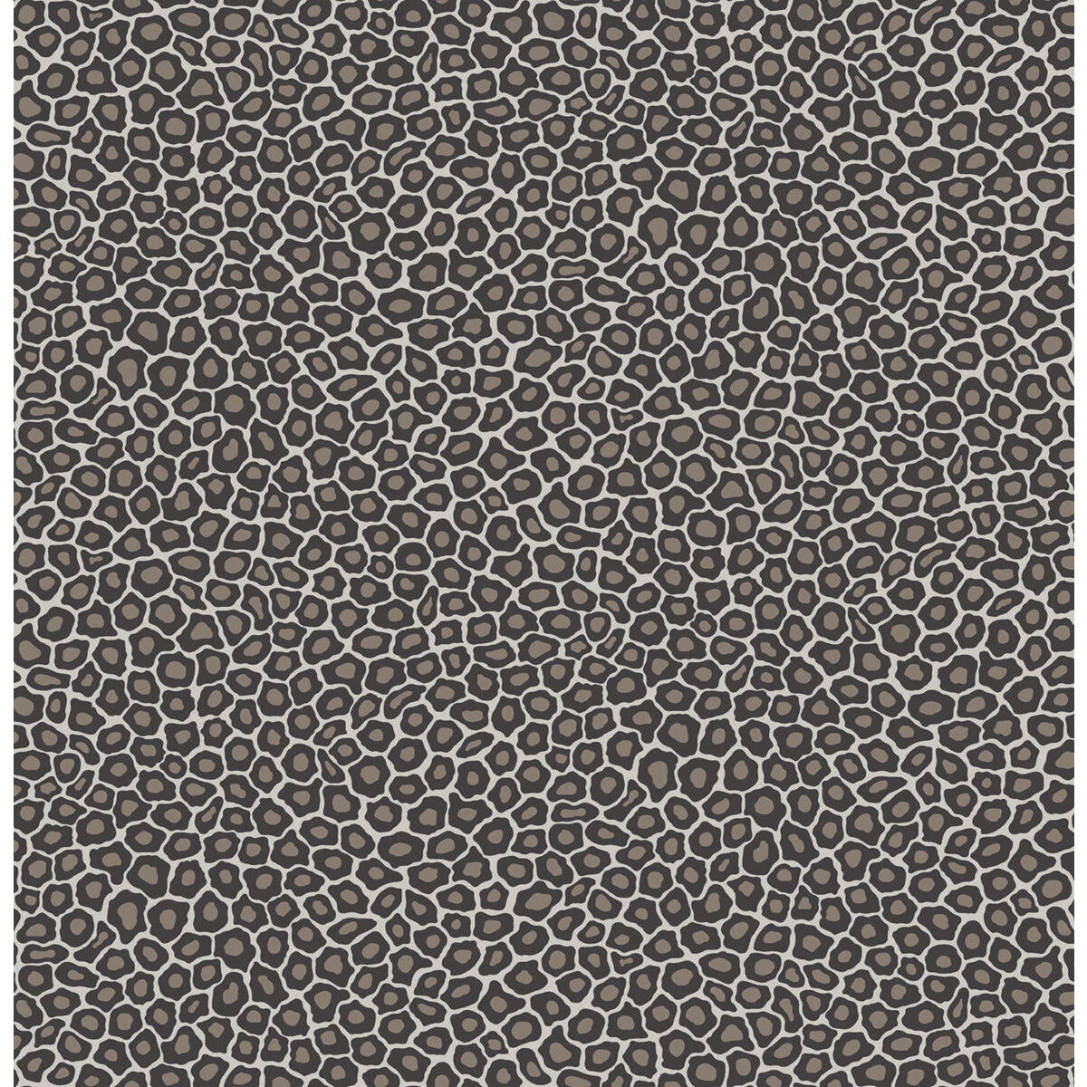 COLE & SON 109/6031.CS.0 SENZO SPOT BLACK & WHITE Wallpaper - Eade's Wallpaper