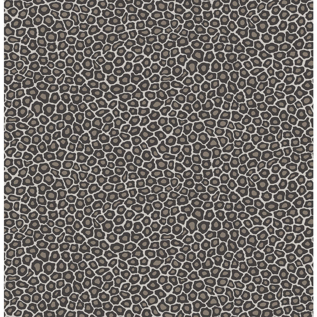 COLE & SON 109/6031.CS.0 SENZO SPOT BLACK & WHITE Wallpaper - Eade's Wallpaper