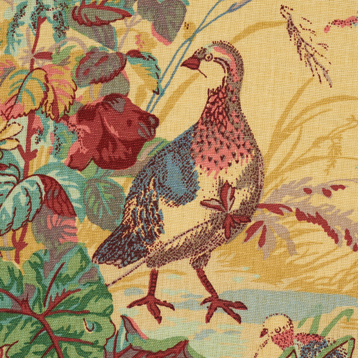 Schumacher 1106015 QUAIL MEADOW in SPRING Fabric - A COUNTRY