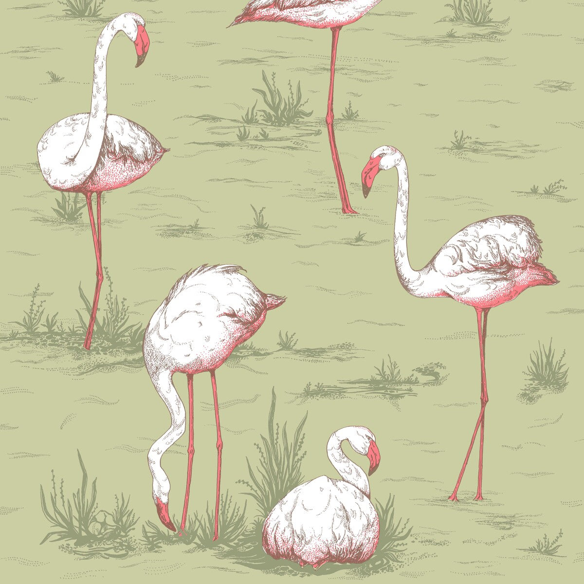 COLE & SON 112/11038.CS.0 FLAMINGOS OLIVE Wallpaper - Eade's Wallpaper