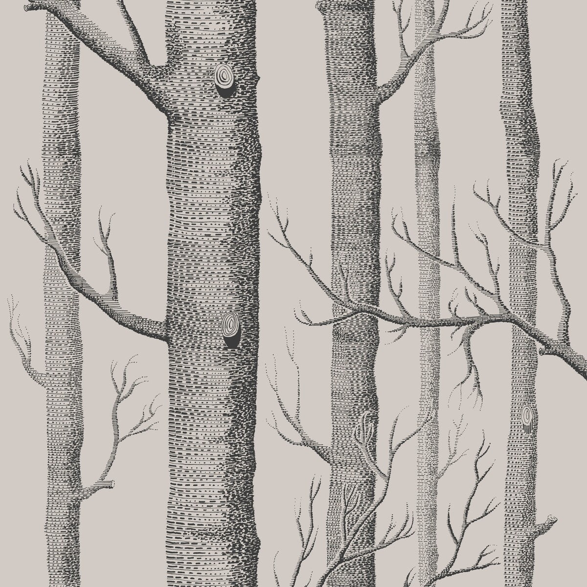 COLE & SON 112/3009.CS.0 WOODS LINEN/CHARCOAL Wallpaper - Eade's Wallpaper