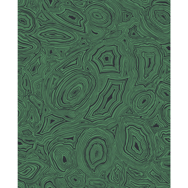 COLE & SON 114/17035.CS.0 MALACHITE EMERALD/BLACK Wallpaper - Eade's Wallpaper