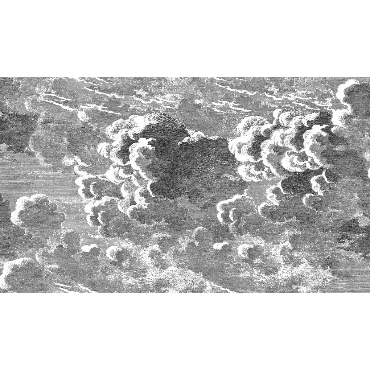 COLE & SON 114/28054.CS.0 NUVOLETTE BLACK/WHITE Wallpaper - Eade's Wallpaper