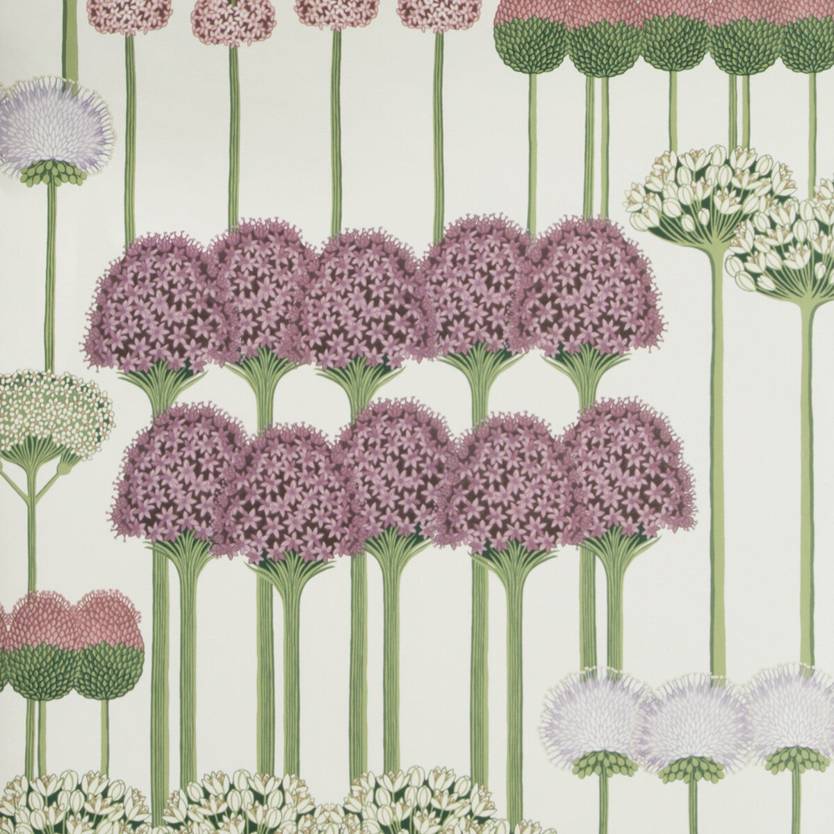COLE & SON 115/12034.CS.0 ALLIUM MULB/BLUSH/LILAC/WH Wallpaper - Eade's Wallpaper