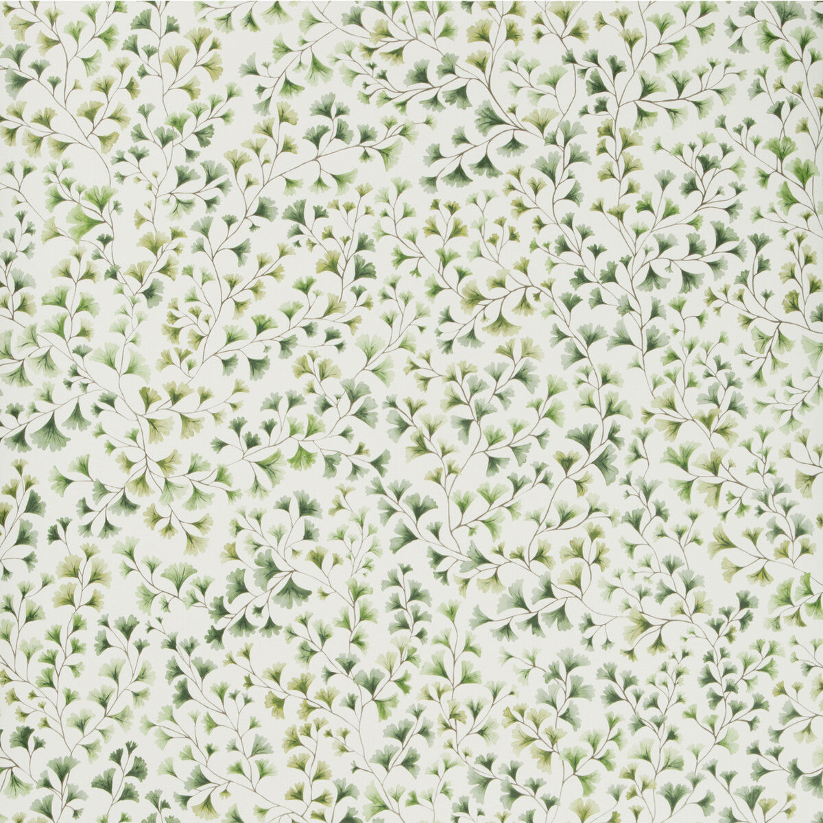 COLE & SON 115/6018.CS.0 MAIDENHAIR OLIVE Wallpaper - Eade's Wallpaper